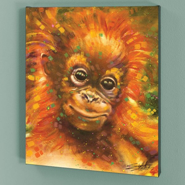 Baby Orangutan LIMITED EDITION Giclee on Canvas by Stephen Fishwick