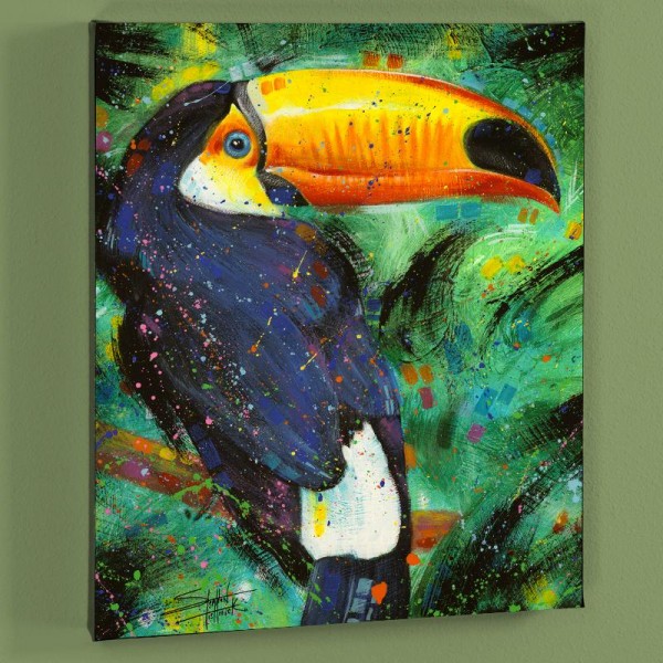 Toucan LIMITED EDITION Giclee on Canvas by Stephen Fishwick