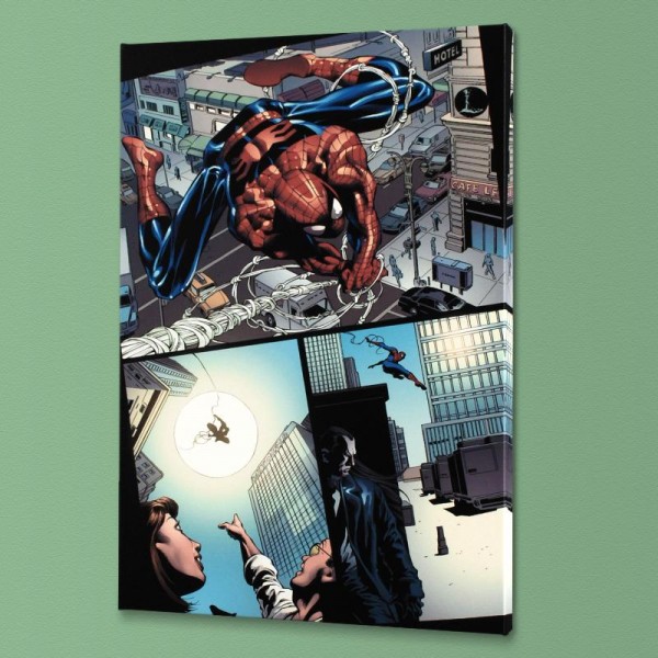 Amazing Spider-Man #526 Limited Edition Giclee on Canvas by Mike Deodato Jr. and Marvel Comics! Numbered with Certificate of Authenticity! Gallery Wrapped and Ready to Hang!