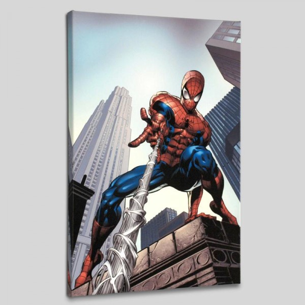 Amazing Spider-Man #520 LIMITED EDITION Giclee on Canvas by Mike Deodato Jr. and Marvel Comics
