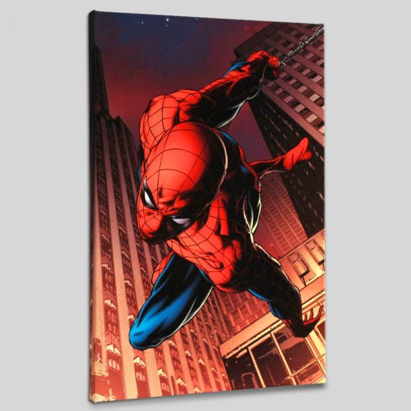 Amazing Spider-Man #641 LIMITED EDITION Giclee on Canvas by Joe Quesada and Marvel Comics