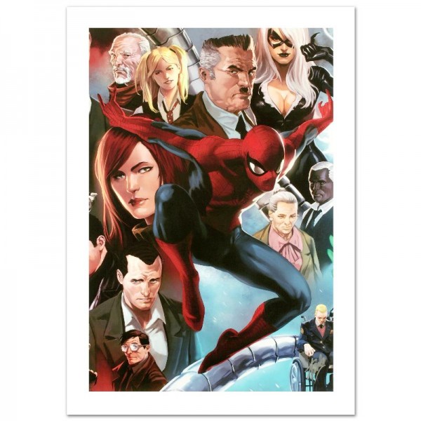 Amazing Spider-Man #645 Limited Edition Giclee on Canvas by Marko Djurdjevic and Marvel Comics! Numbered and Hand Signed by Stan Lee! Includes Certificate of Authenticity!