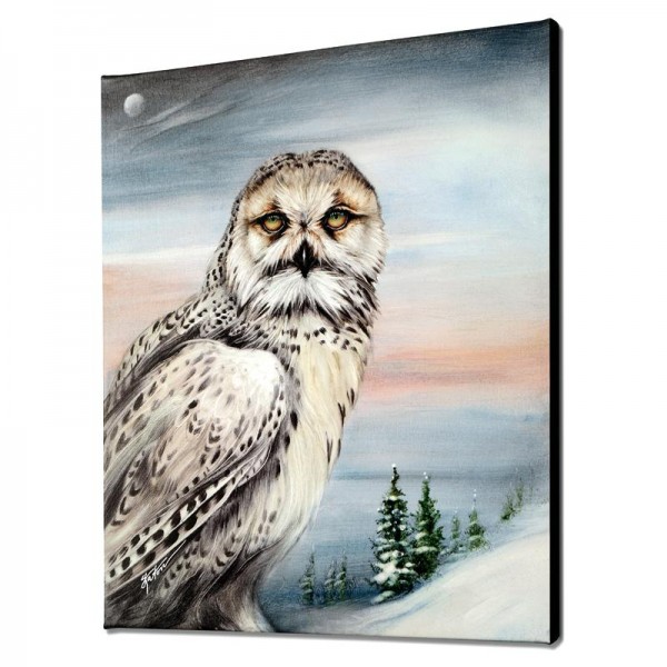 Snow Owl in Alaska Limited Edition Giclee on Canvas by Martin Katon