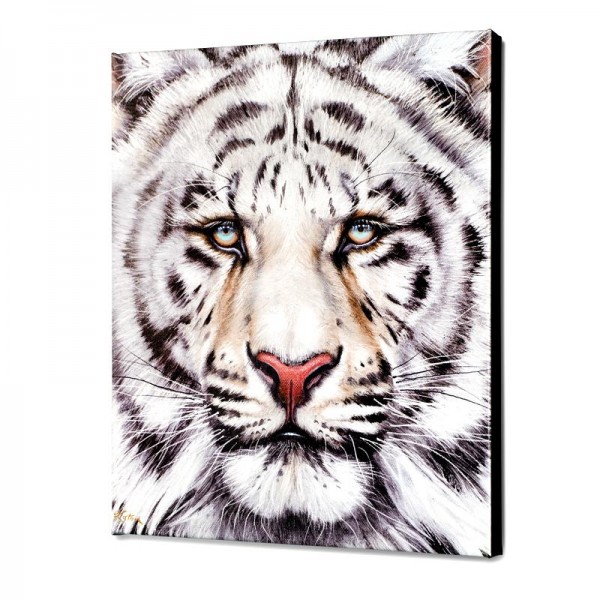 Bengal Limited Edition Giclee on Canvas by Martin Katon