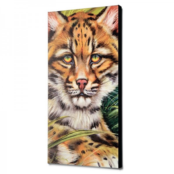 Ocelot Eyes Limited Edition Giclee on Canvas by Martin Katon