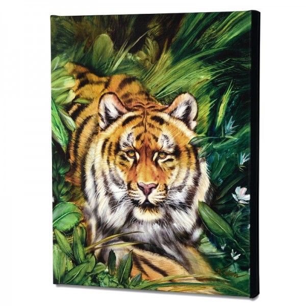 Tiger Surprise Limited Edition Giclee on Canvas by Martin Katon