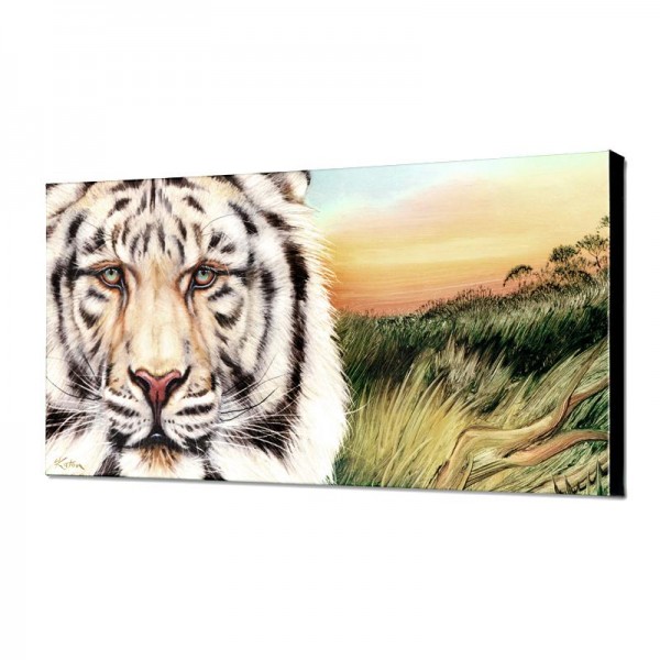 White Bengal Limited Edition Giclee on Canvas by Martin Katon