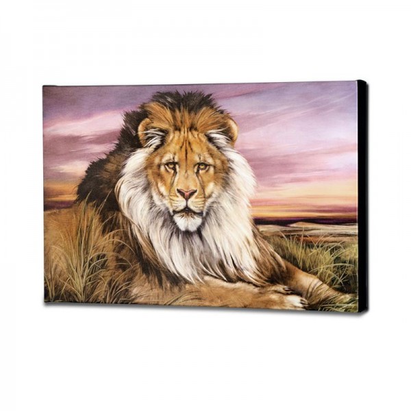 African Lion Limited Edition Giclee on Canvas by Martin Katon