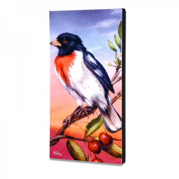 Rose Breasted Grosbeak Limited Edition Giclee on Canvas by Martin Katon