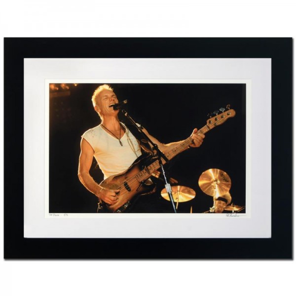 Sting Limited Edition Giclee by Rob Shanahan